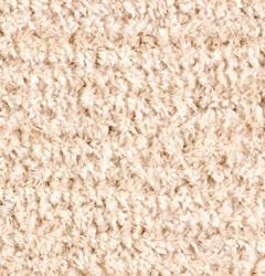 Изображение продукта Vorwerk Twin