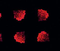 Изображение продукта Vorwerk Dialog - Flower