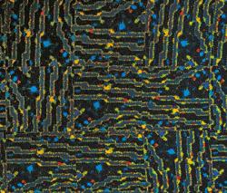 Изображение продукта Vorwerk Dialog - Flower