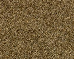 Изображение продукта Forbo Flooring Westbond Natural manx