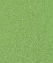 Изображение продукта Steiner Bergen grass