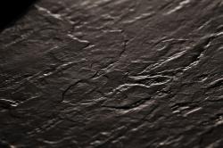 Project Floors Light Collection Tile - 5