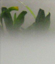 Изображение продукта Conglomerate Molten | Silver Reflex 2