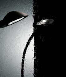 Изображение продукта Vitrealspecchi Madras Silk Cristalli Lac