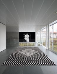 Изображение продукта Domaniecki Yinyano 100 Checker