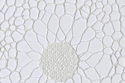 Изображение продукта Christian Fischbacher Blossom