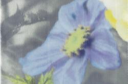 Изображение продукта Christian Fischbacher Euphorica