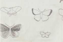 Изображение продукта Christian Fischbacher Rising