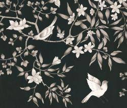 Изображение продукта Equipo DRT Vivace Negro