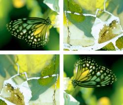 Изображение продукта tela-design Enlightened Hangover