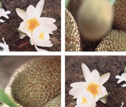 Изображение продукта tela-design Falling Stars And Molecules