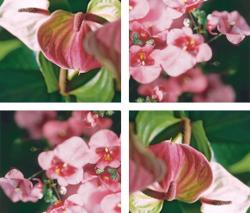 Изображение продукта tela-design Fingering Leaves