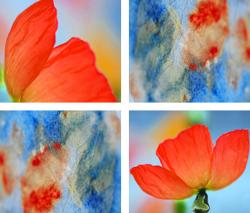 Изображение продукта tela-design Hearty Opulence