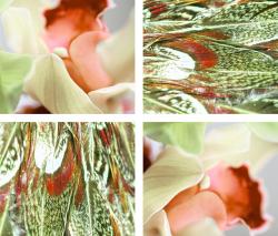 Изображение продукта tela-design Lis de Plumes