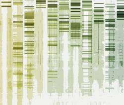 Изображение продукта tela-design Neverending Story