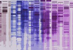 Изображение продукта tela-design tela graph - neverending story