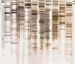 Изображение продукта tela-design tela graph - neverending story