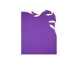 Изображение продукта Poemo Design Diva ковер viola