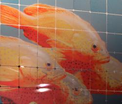 Изображение продукта Nola Star Nola Star image