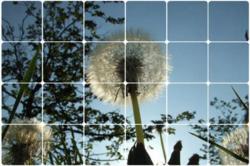 Изображение продукта Nola Star Nola Star image