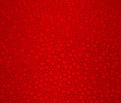 Изображение продукта Bencore LIGHTBEN Kaos