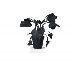 JAN WILLEM de LAIVE Alocasia Black/White - 2