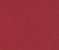 SPRADLING Brava Fuchs - 6