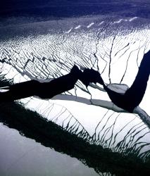 Изображение продукта Berlintapete No. 7405 | Broken Ice