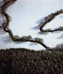 Изображение продукта Berlintapete No. 5029 | Curve