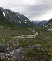 Изображение продукта Berlintapete No. 6063 | Ravine Norway