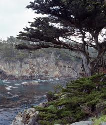 Изображение продукта Berlintapete No. 6704 | Westcoast