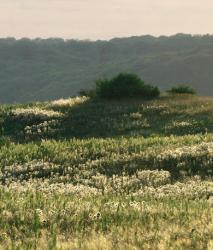 Изображение продукта Berlintapete No. 6869 | High status