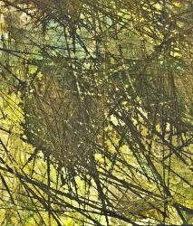 Изображение продукта Berlintapete No. 7625 | Abstract structure