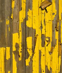 Изображение продукта Berlintapete No. 7793 | Old Paint