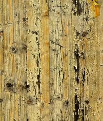 Изображение продукта Berlintapete No. 7795 | Wooden wall