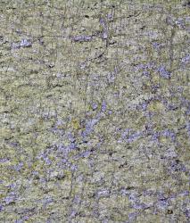 Изображение продукта Berlintapete No. 7829