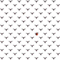 Изображение продукта Berlintapete No. 1180 | Moskito