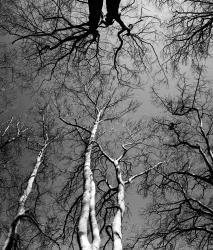 Изображение продукта Berlintapete No. 3093 | Noblex-Panorama